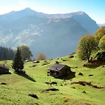 Reinhysi By Interhome * Grindelwald