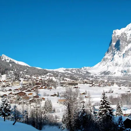 Reinhysi By Interhome Grindelwald