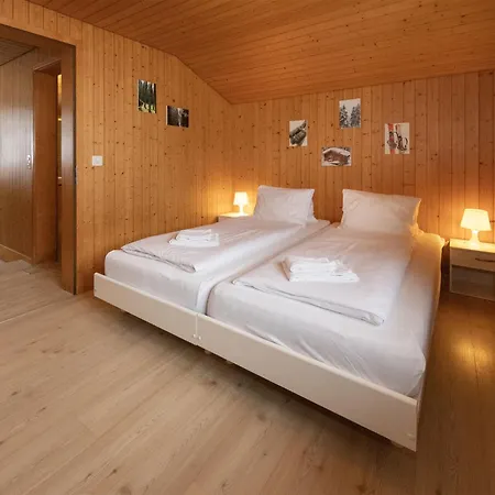 Reinhysi By Interhome Nyaraló Grindelwald