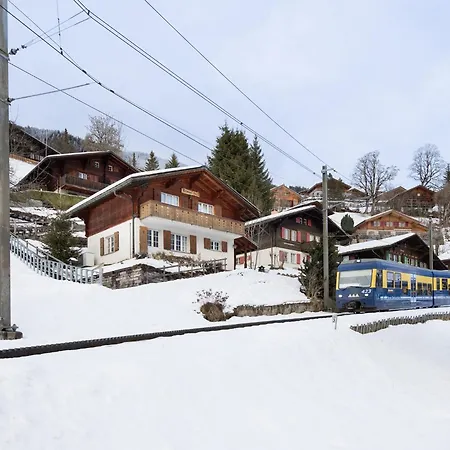 Reinhysi By Interhome Grindelwald