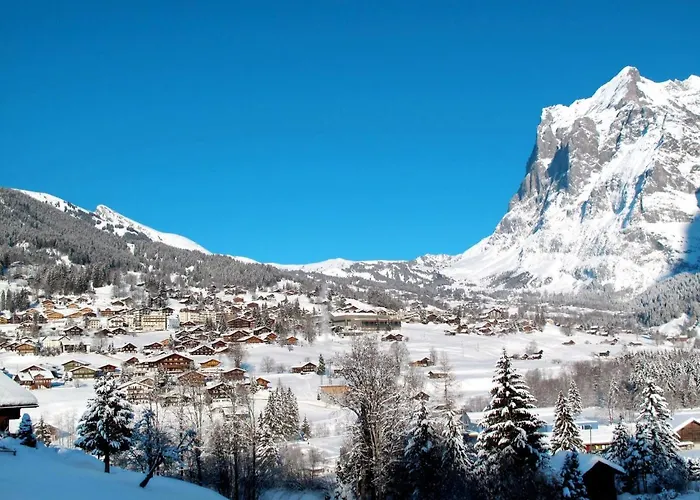 Reinhysi By Interhome Grindelwald