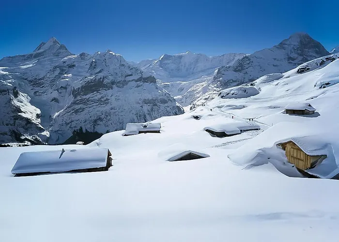 Reinhysi By Interhome Grindelwald