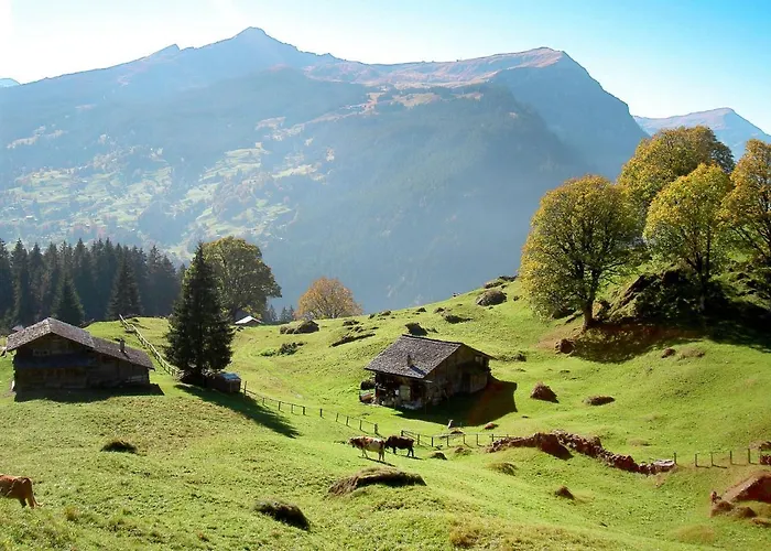 Reinhysi By Interhome * Grindelwald