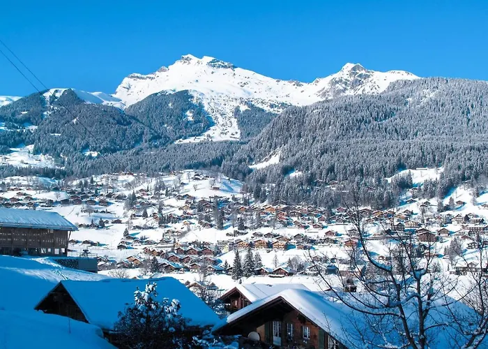 Prázdninový dům Reinhysi By Interhome Grindelwald