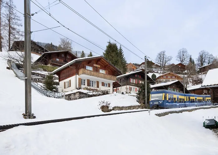 Reinhysi By Interhome Grindelwald