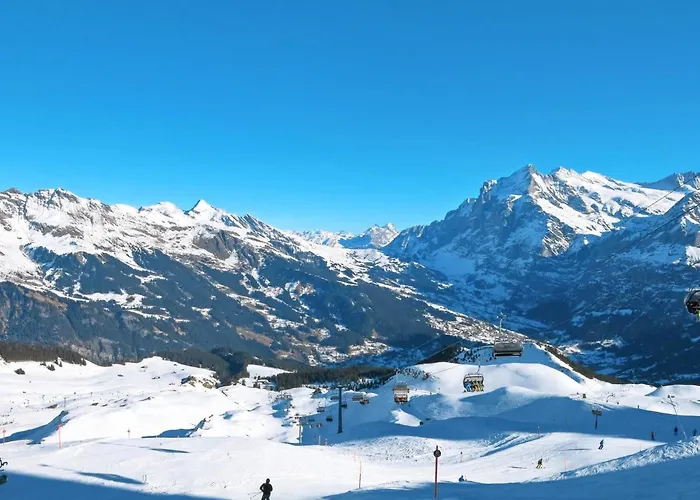 Reinhysi By Interhome * Grindelwald